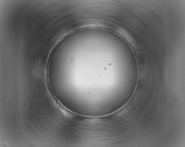 X0000073871282200608101500