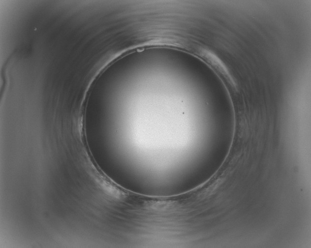 X0000073871284200608101500