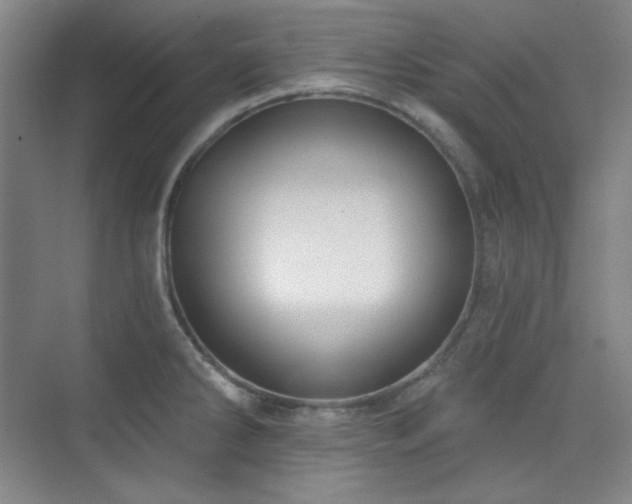 X0000073871286200608101500