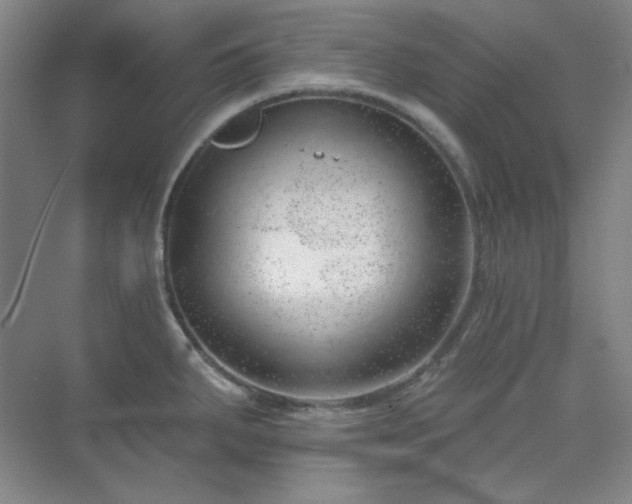 X0000073871287200608101500