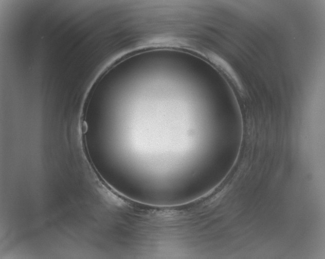 X0000073871288200608101500