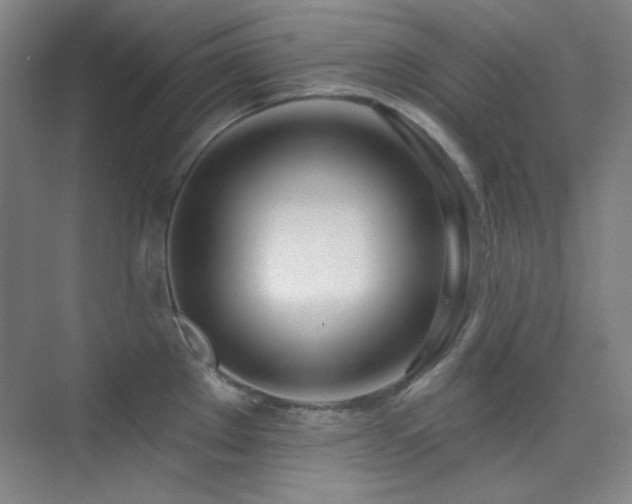 X0000073871289200608101500