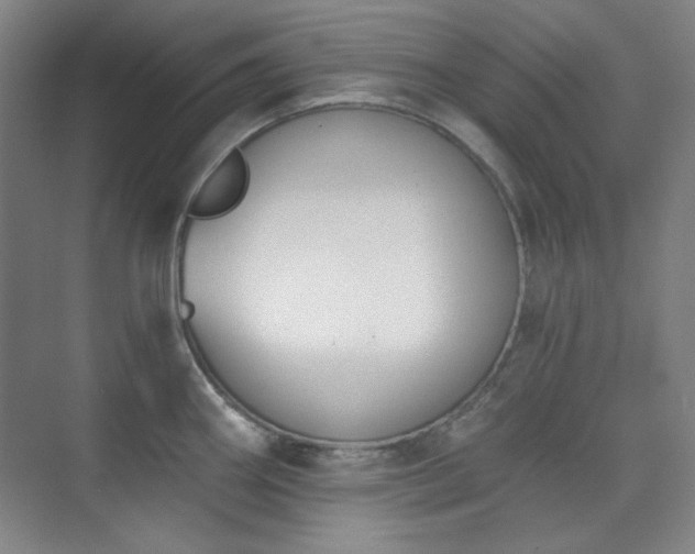 X0000073871290200608101500