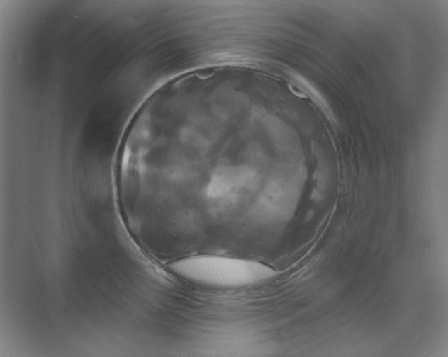 X0000073871291200608101500