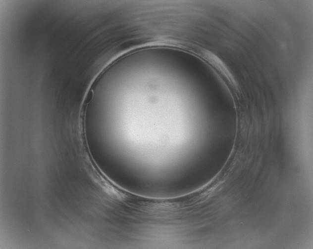 X0000073871292200608101500