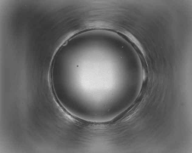 X0000073871293200608101500