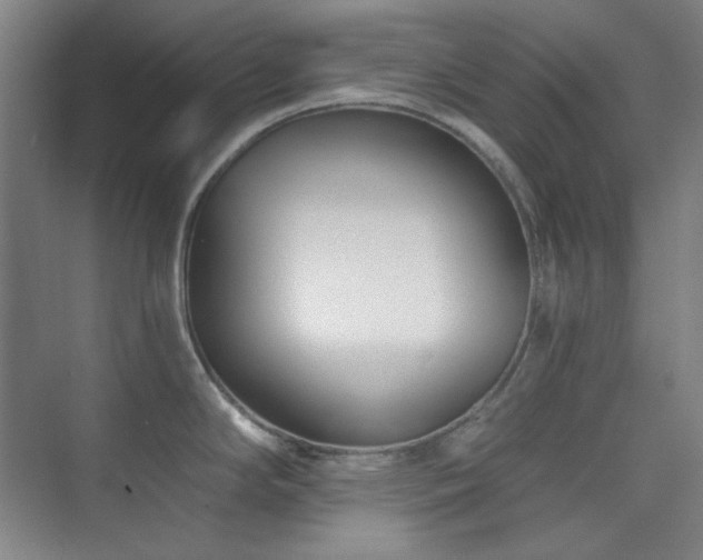 X0000073871294200608101500