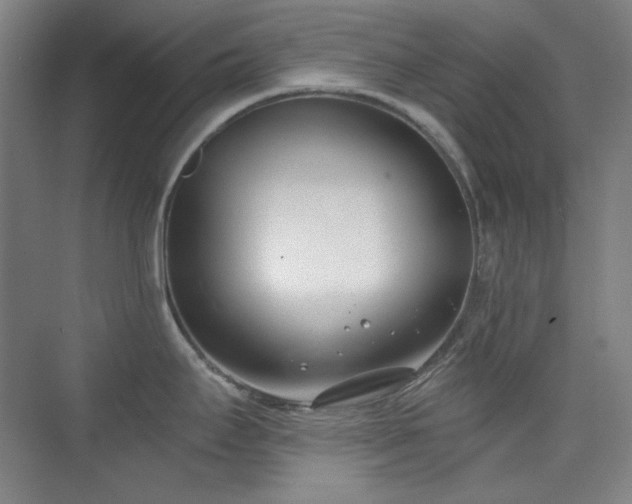 X0000073871295200608101500