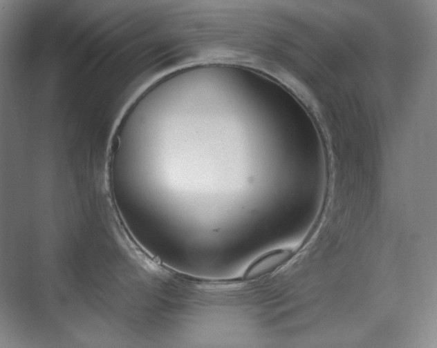 X0000073871296200608101500