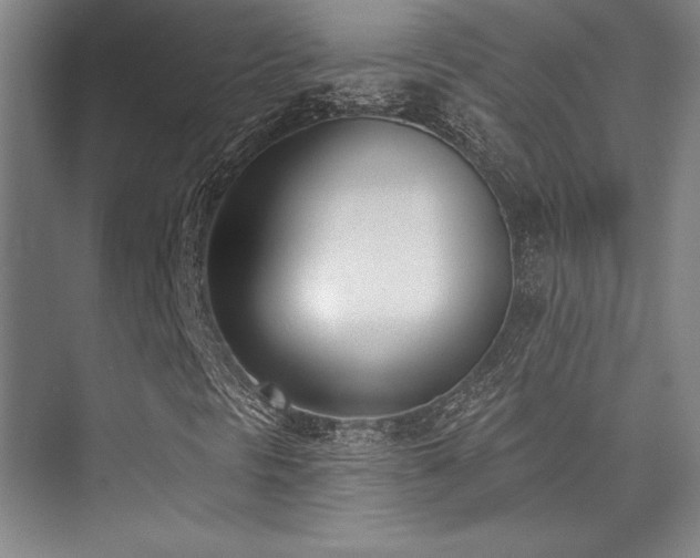 X0000073871297200608101459