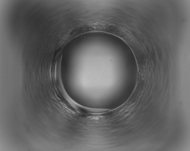 X0000073871298200608101459