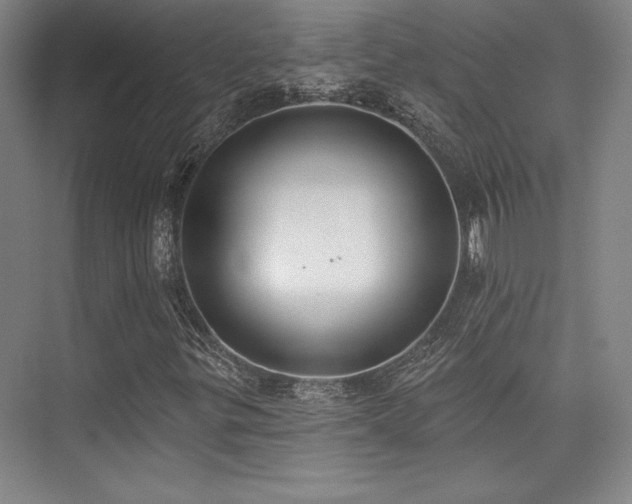 X0000073871299200608101459