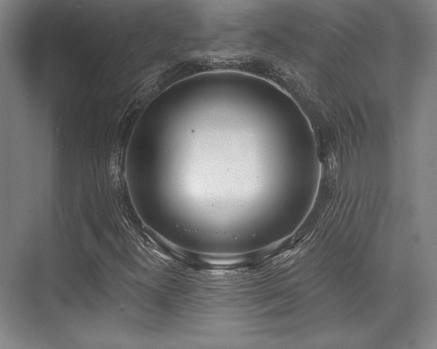 X0000073871300200608101459