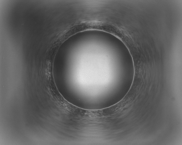 X0000073871301200608101459