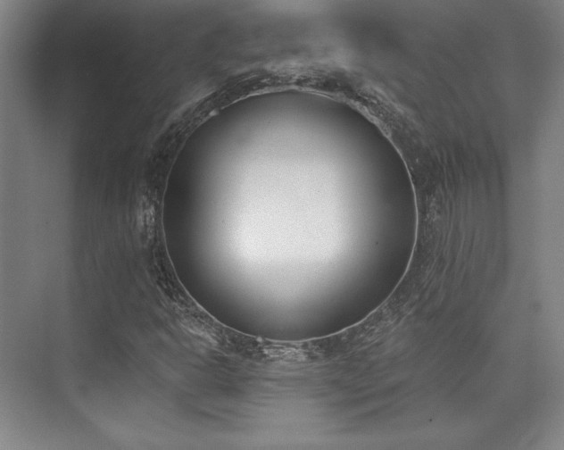 X0000073871302200608101459