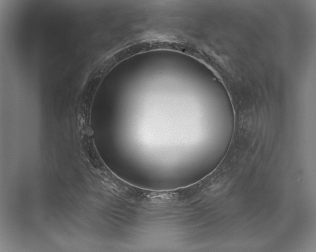 X0000073871303200608101459