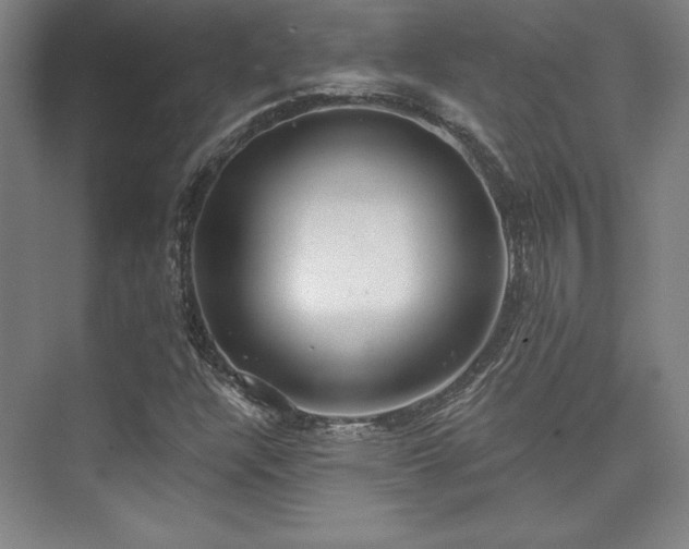 X0000073871304200608101459