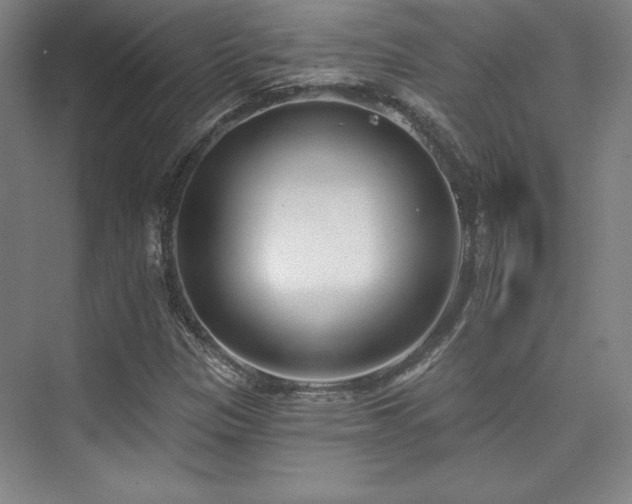 X0000073871305200608101459