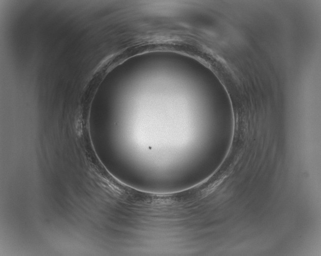 X0000073871306200608101459