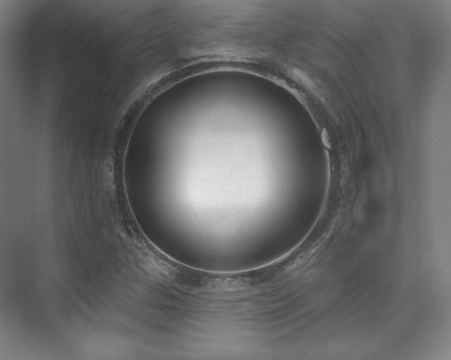 X0000073871307200608101459