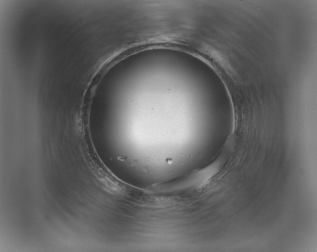 X0000073871308200608101459