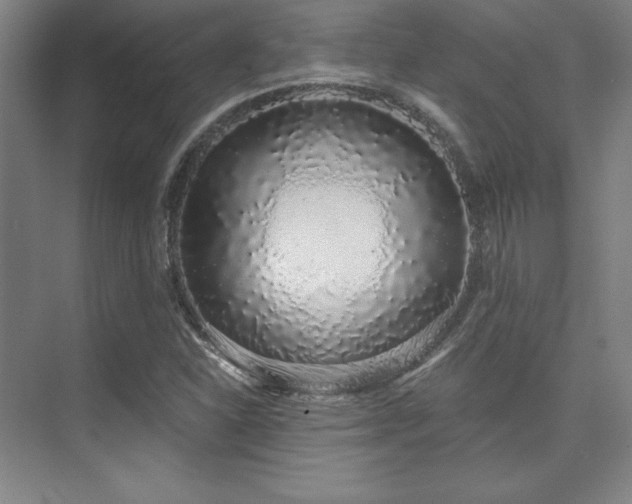 X0000073871310200608101459