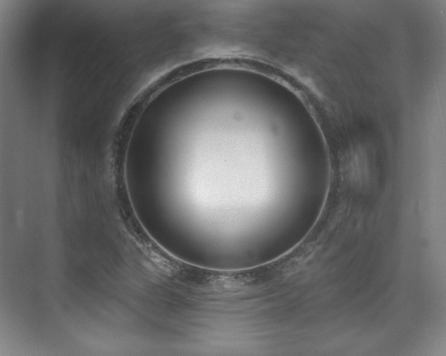 X0000073871311200608101459