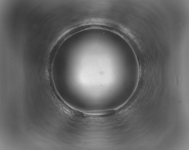 X0000073871312200608101459