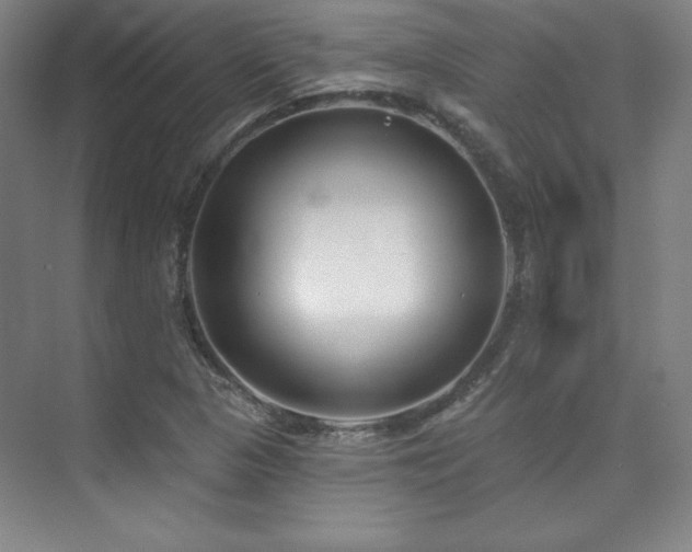 X0000073871313200608101459