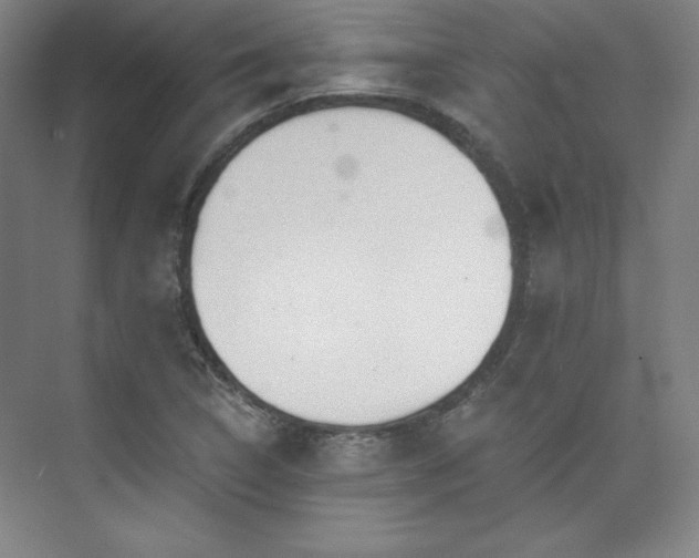 X0000073871314200608101459