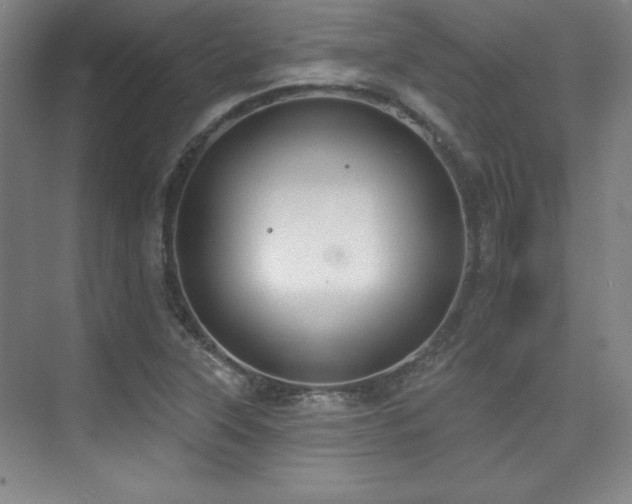 X0000073871315200608101459