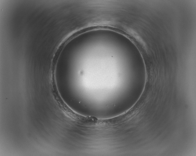 X0000073871316200608101459