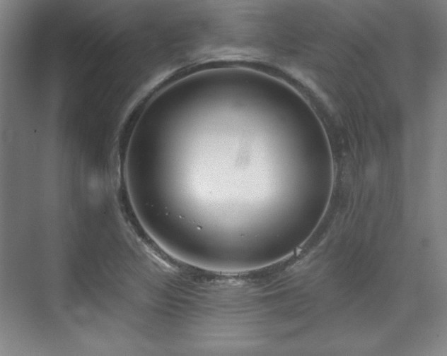 X0000073871317200608101459