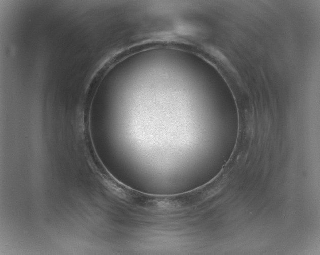 X0000073871318200608101459