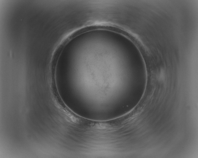 X0000073871319200608101459