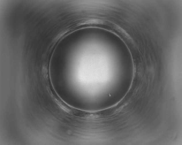 X0000073871321200608101459