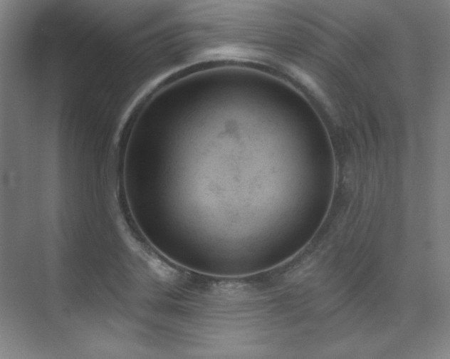 X0000073871323200608101459