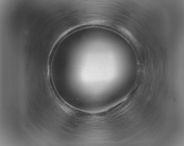 X0000073871324200608101459