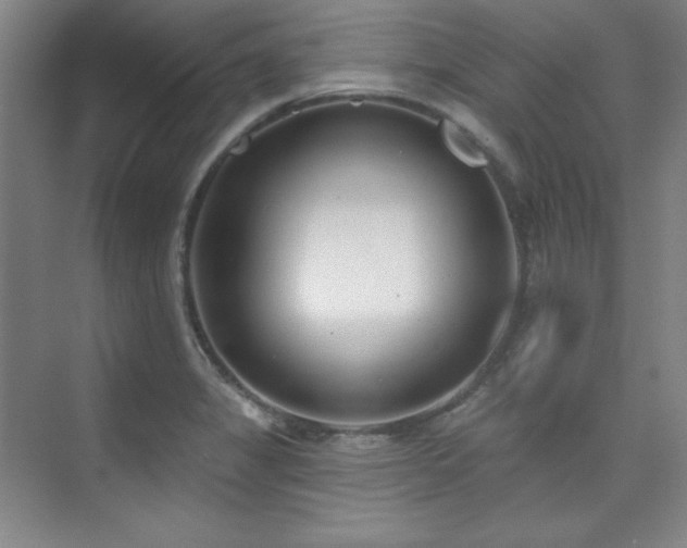 X0000073871325200608101459