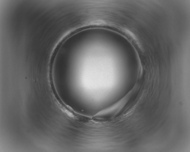 X0000073871326200608101459