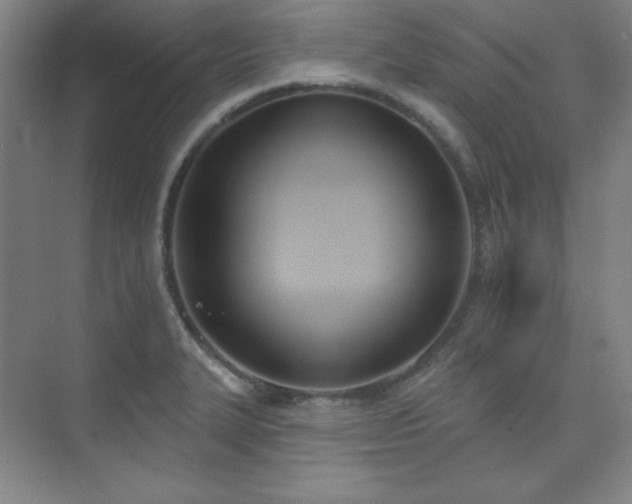 X0000073871327200608101459