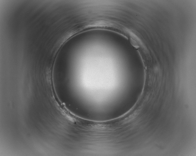 X0000073871329200608101459