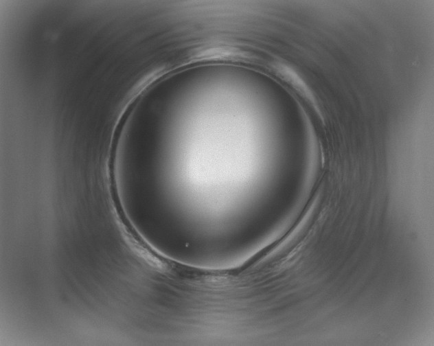 X0000073871330200608101459