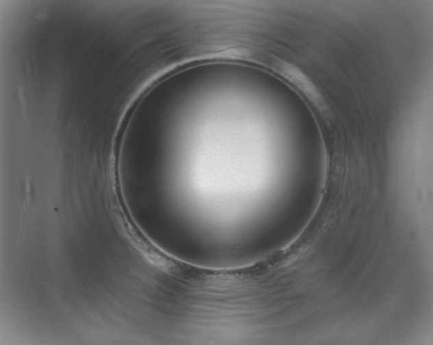 X0000073871332200608101459