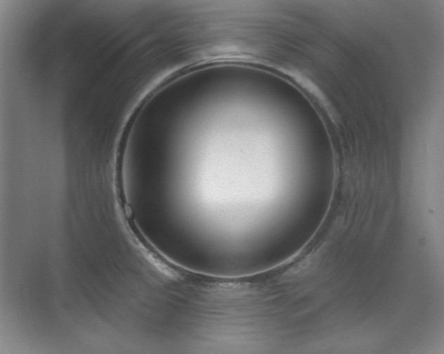 X0000073871333200608101459