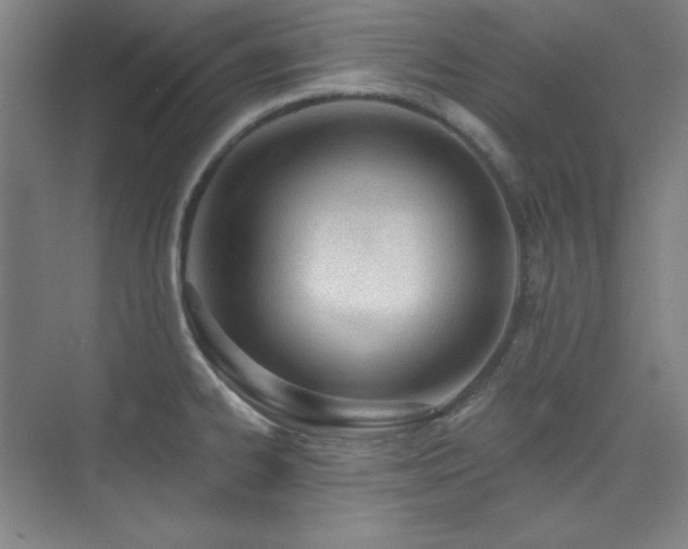 X0000073871334200608101500