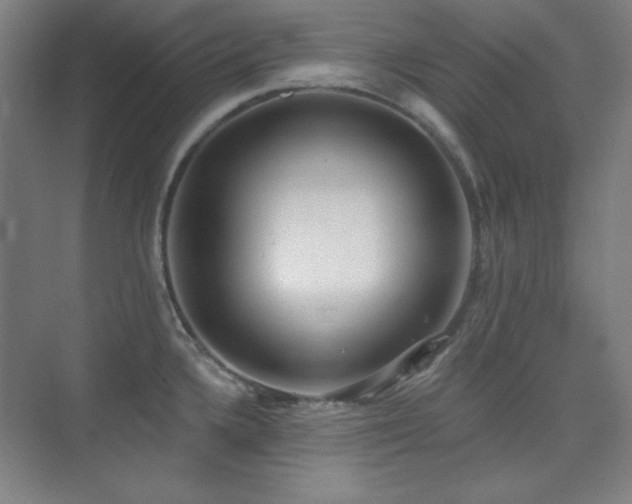 X0000073871336200608101500