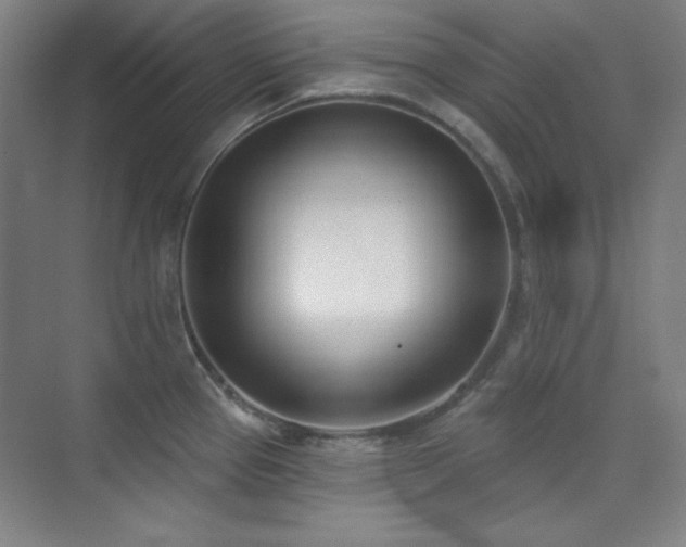 X0000073871337200608101500