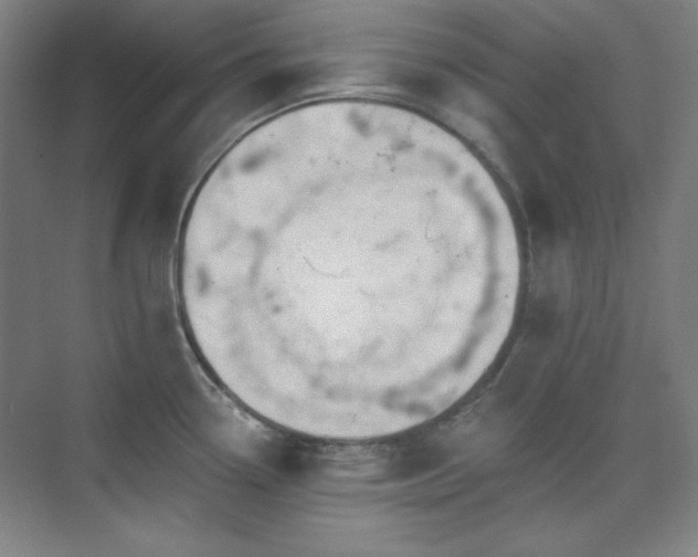 X0000073871338200608101500