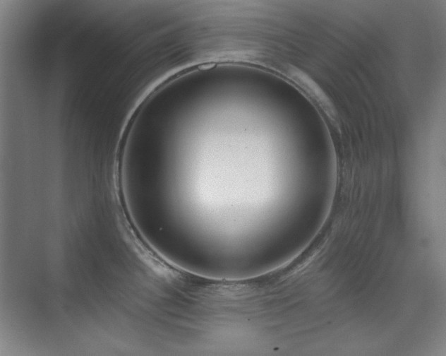 X0000073871340200608101500